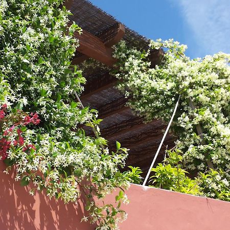 Gato Preto De Silves - Adults Only B&B 외부 사진