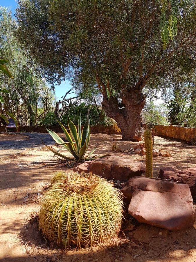 Gato Preto De Silves - Adults Only B&B 외부 사진