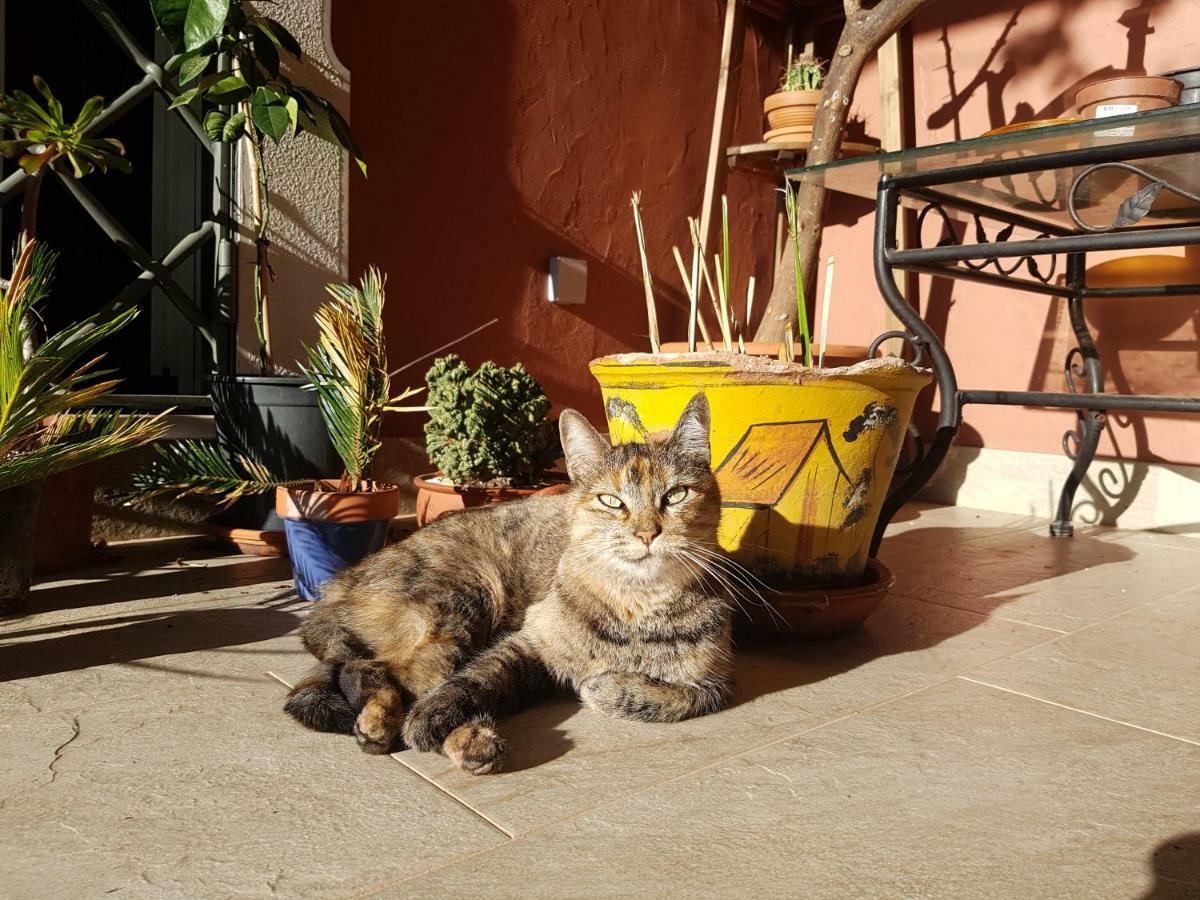 Gato Preto De Silves - Adults Only B&B 외부 사진